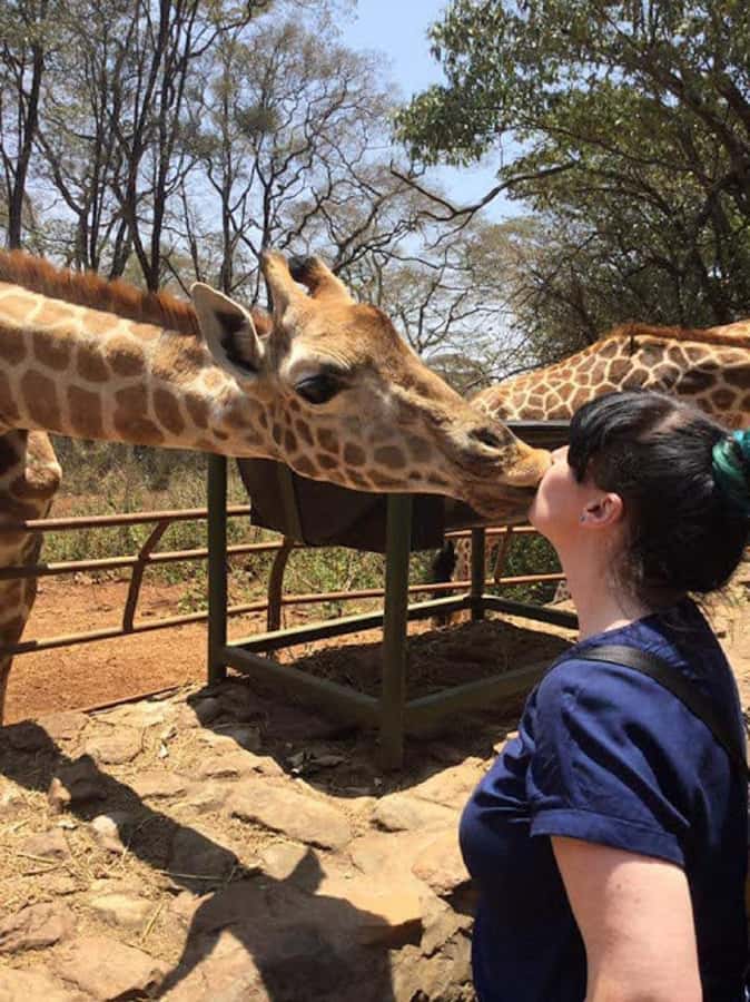 Nairobi: Elephant Orphanage, Beads Factory , giraffe center - Key things to know before you go