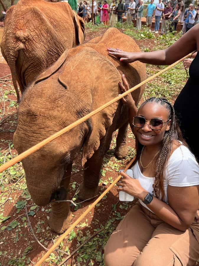 Nairobi: Elephant Orphanage, Beads Factory , giraffe center - The best fit: who will love this most