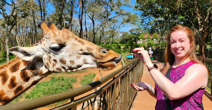 Nairobi: Elephant Orphanage Trust and Giraffe Center Tour - How the 7-hour timing works around Sheldrick (and why it matters)