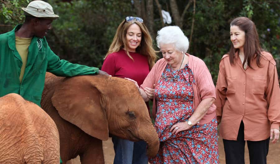 Nairobi: Elephant Sanctuary and Giraffe Center Day Tour - Pickup at 9:30 and the City Drive to David Sheldrick (Why the Route Matters)