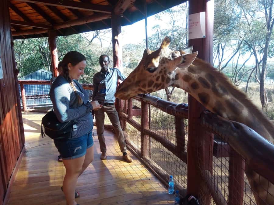 Nairobi: Elephants, Giraffes, Karen Blixen & Bomas Tour - Key things I’d focus on before you go