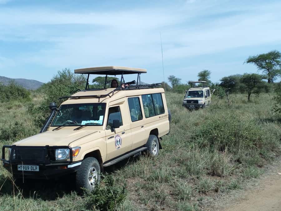 Nairobi: Elephants, Giraffes, Karen Blixen & Bomas Tour - David Sheldrick Wildlife Trust: baby elephants and why the place matters
