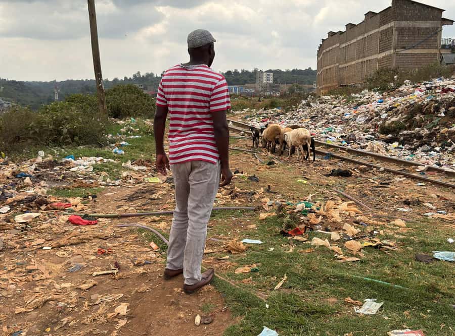Nairobi: Explore Kibera Slum with Local Guides - Home visit: the most revealing stop of the day