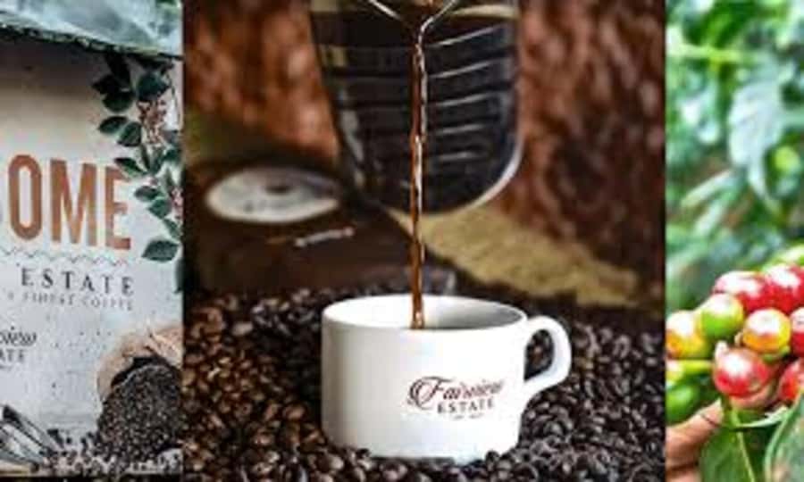 Nairobi: Fairview Coffee Estate Tour with Pickup - Wet and dry mills: where the magic becomes measurable