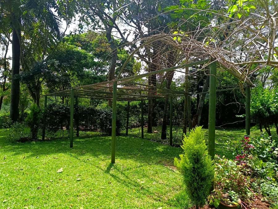 Nairobi: Fairview Coffee Estate Tour with Pickup - Price and value, plus the entry-fee reality