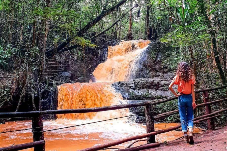 Nairobi: From Nairobi-Karura Forest Guided Walking Tour - Key Details Before You Go