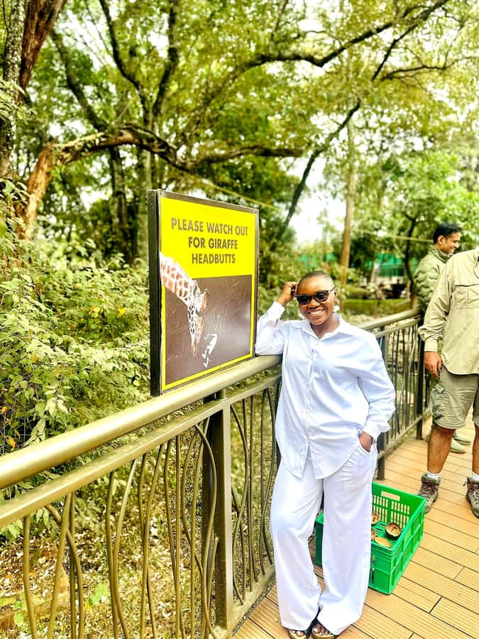 Nairobi: Game drive, elephant Orphanage & giraffe centre. - Price and value: what $139 really includes