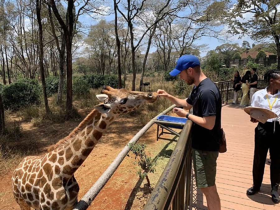 Nairobi:Giraffe Center, Baby Elephant and Beads factory Tour - Key things to know before you go