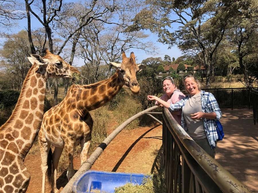 Nairobi:Giraffe Center, Baby Elephant and Beads factory Tour - Price and logistics: what $32 covers, and what can add up