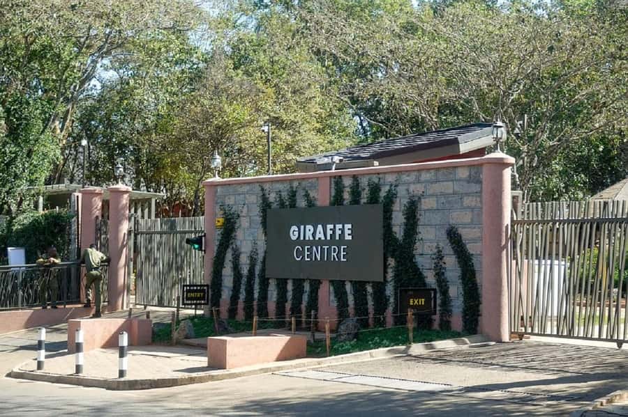 Nairobi:Giraffe Center, Baby Elephant and Beads factory Tour - Who should book this (and who might prefer something else)