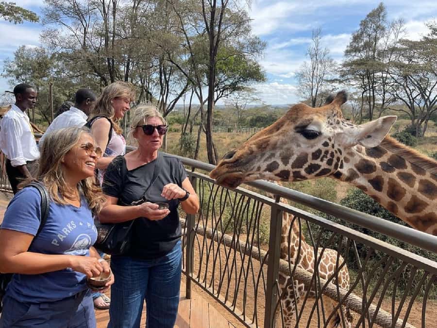 Nairobi:Giraffe Center, Baby Elephant and Beads factory Tour - Quick practical tips to make the day smoother