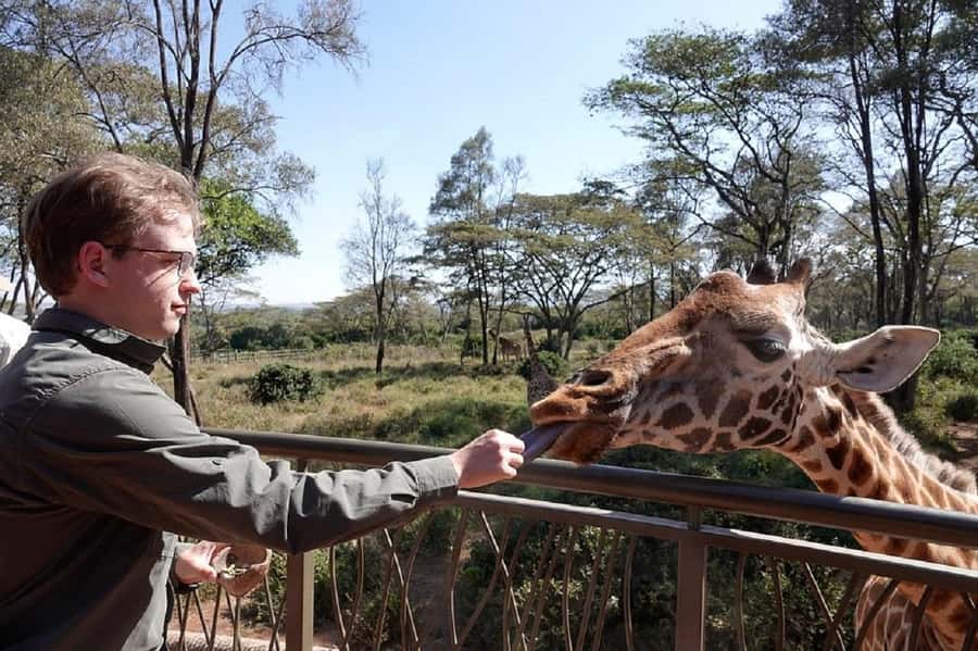 Nairobi:Giraffe Center, Baby Elephant and Beads factory Tour - Giraffe Centre: hand-feeding, kissing, and learning safe behavior