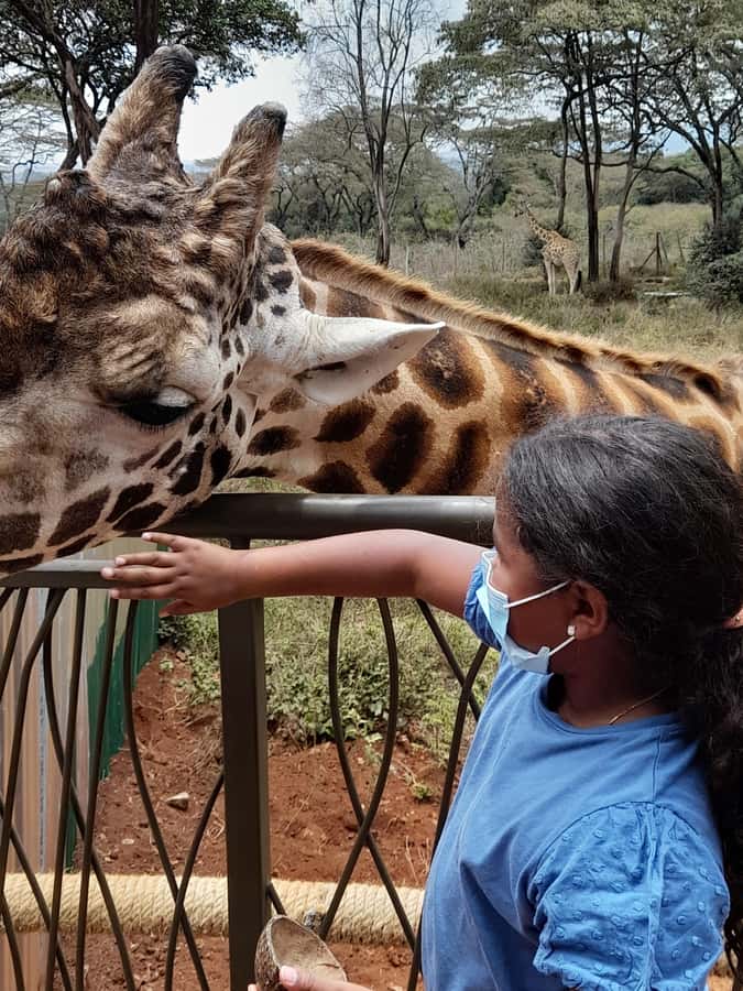 Nairobi: Giraffe Center, Beads Factory & Bomas of Kenya Tour - Kobe Beads Factory: Handmade Ceramic Beads and Pottery You Can Actually Explain