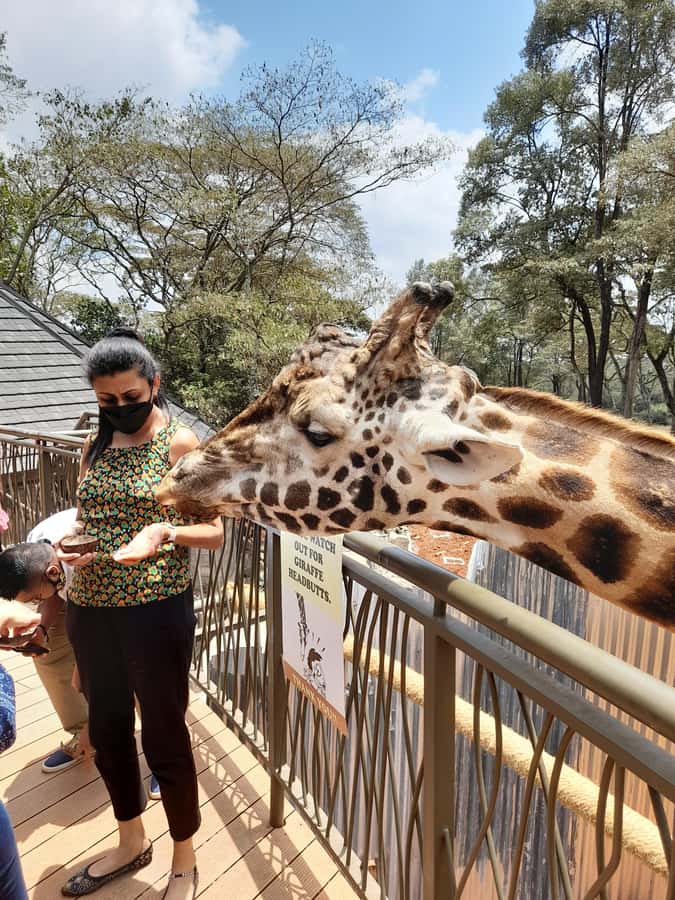 Nairobi: Giraffe Center, Beads Factory & Bomas of Kenya Tour - Bomas of Kenya: Traditional Music and Dance Plus Shopping Time