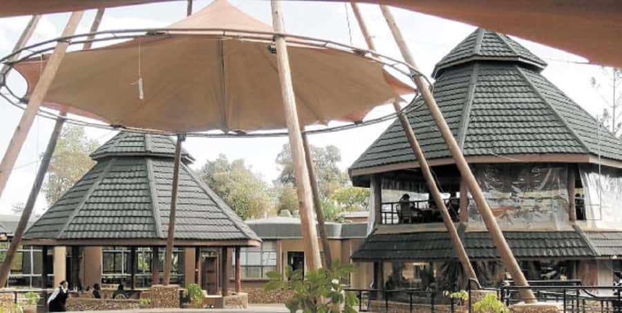 Nairobi: Giraffe Center, Beads Factory & Bomas of Kenya Tour - Giraffe Center: Rothschild Giraffes, Feeding Time, and Conservation Learning