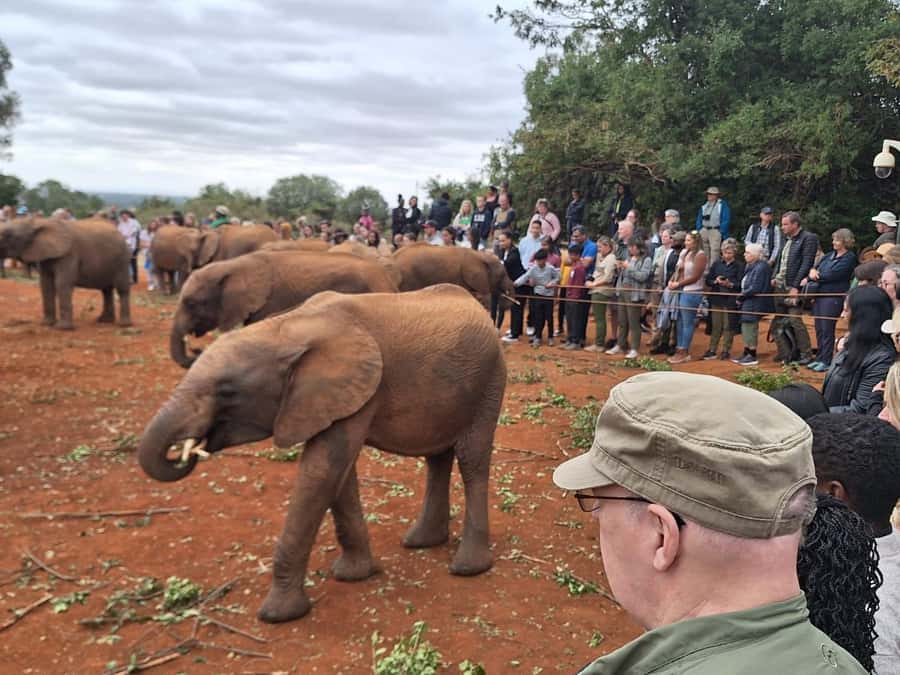 Nairobi: Giraffe Center, Elephant Orphanage, and Beads Tour - Giraffe Centre: Up Close With Feeding and Conservation Messaging
