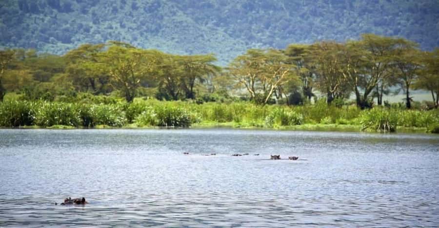 Nairobi:Group Hell's Gate National Park & Lake Naivasha Tour - Key things I’d plan around