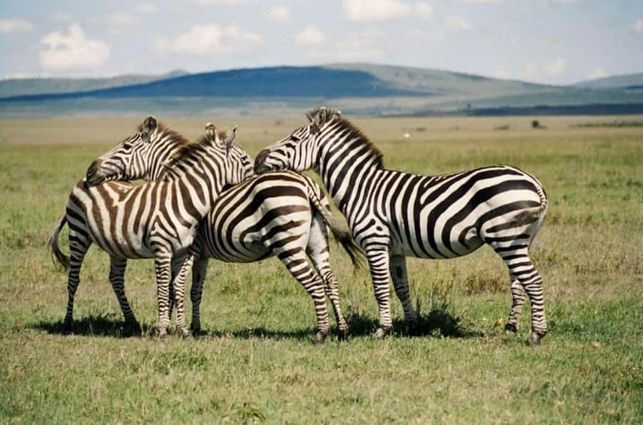 Nairobi:Group Hell's Gate National Park & Lake Naivasha Tour - Lunch Around Naivasha, Then Time on the Water