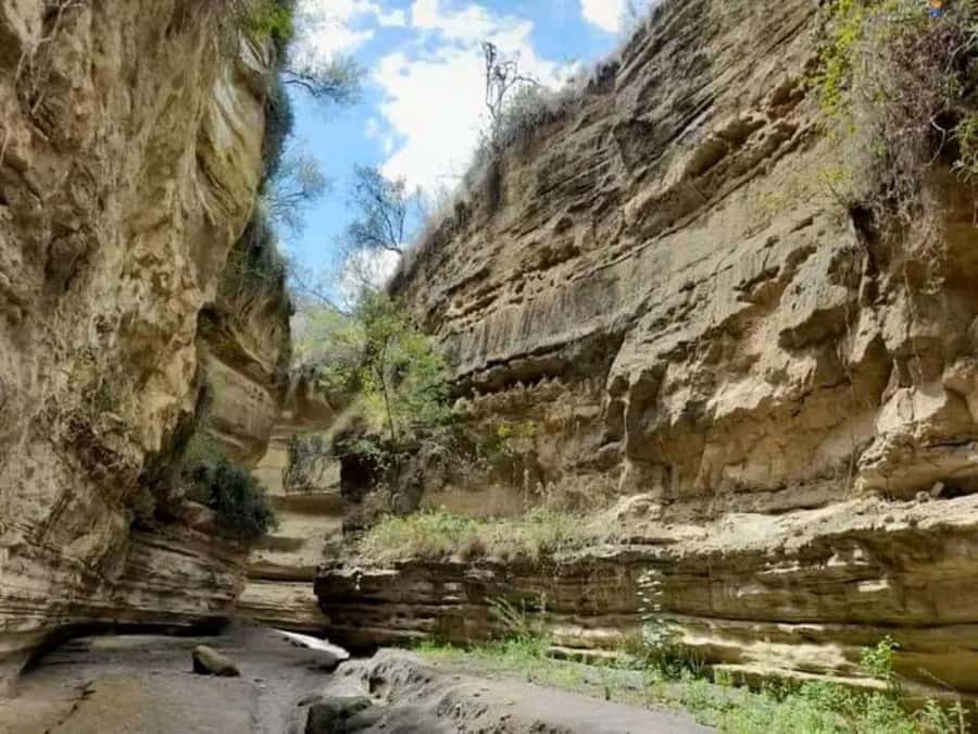 Nairobi:Group Hell's Gate National Park & Lake Naivasha Tour - Wildlife You Can Expect, and How to Watch