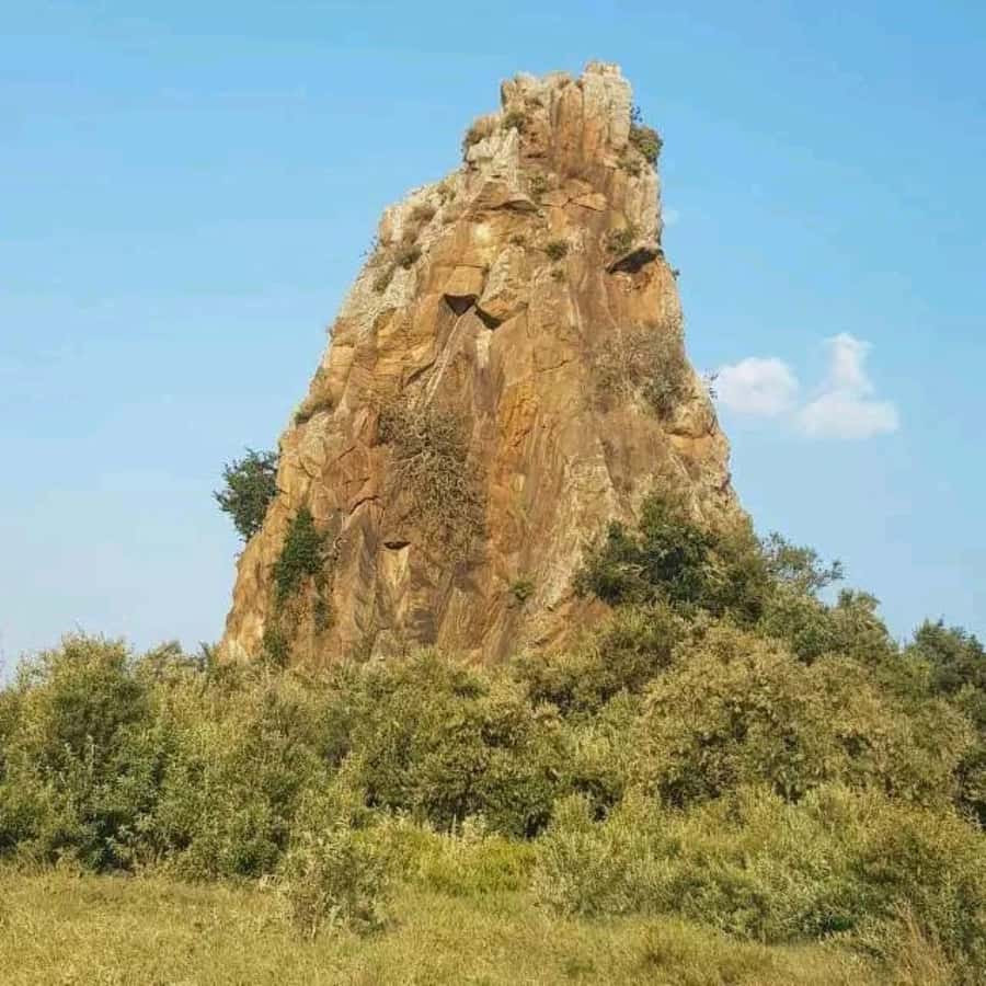 Nairobi: Hell's Gate National Park and Lake Naivasha Tour - From Nairobi to Hell’s Gate, the Rift Valley drive that sets the tone