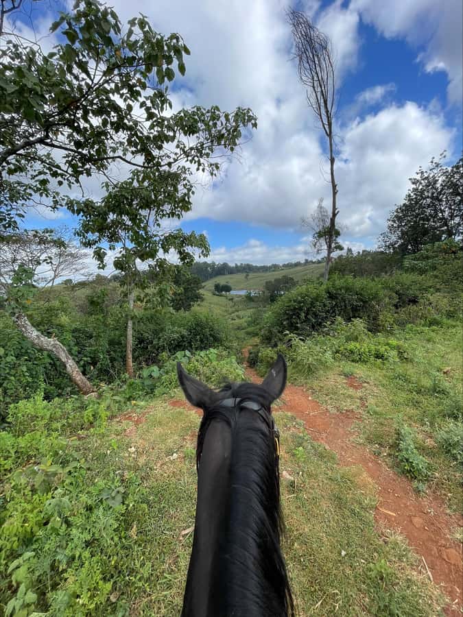 Nairobi: Horseback Riding Tour Through Maize Plantation - Getting Started at the Stables (Helmet, Horse Match, and Friendly Faces)