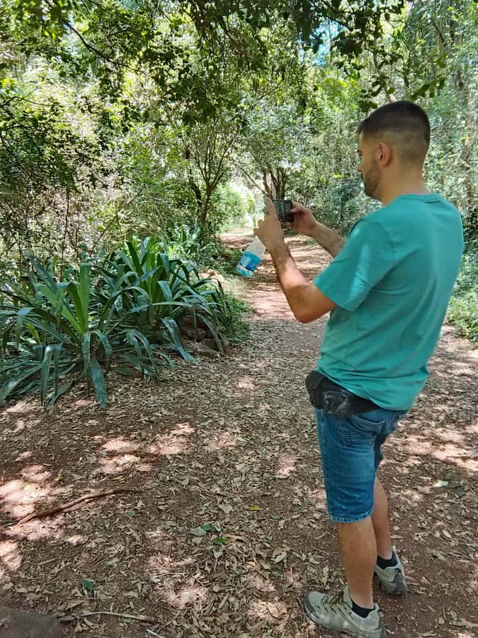 Nairobi: Karura Forest Guided Walking Tour - Why Karura Forest feels different from a typical Nairobi outing