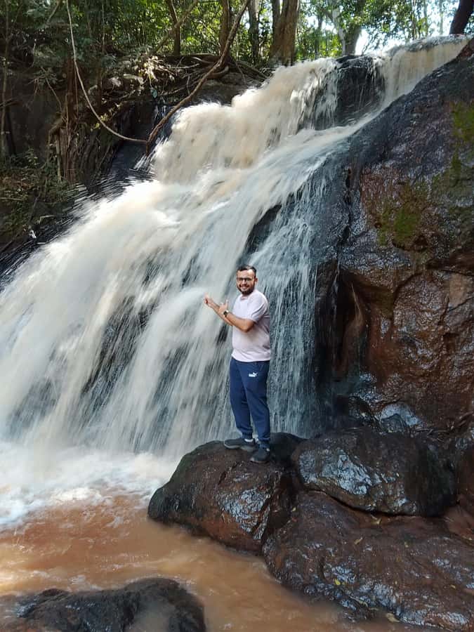 Nairobi: Karura Forest Guided Walking Tour - Price and value for a 3-hour private guided forest walk