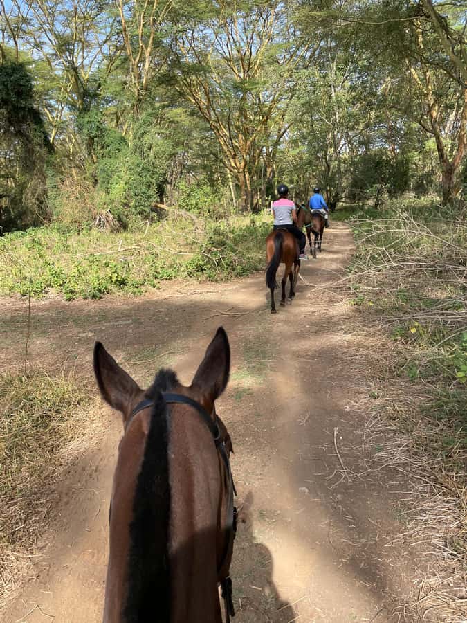 Nairobi: Karura Forest Horseback Riding Tour - Key highlights to know before you go