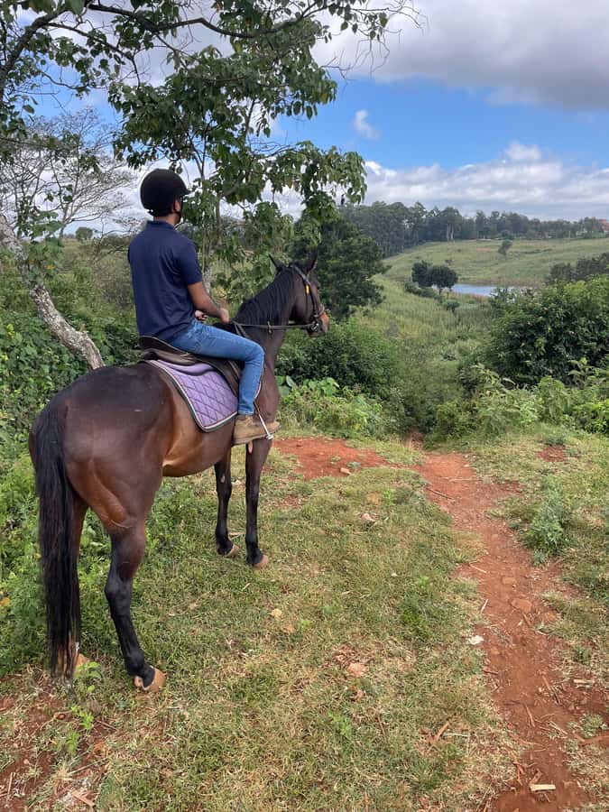 Nairobi: Karura Forest Horseback Riding Tour - Entering Karura Forest from Sigiria Gate, the part you cannot wing