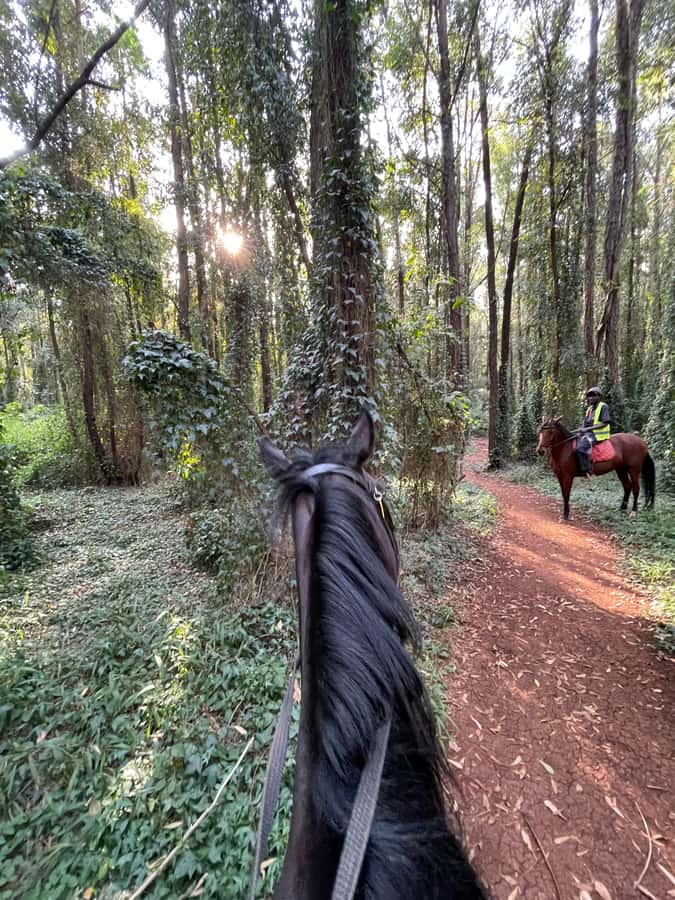 Nairobi: Karura Forest Horseback Riding Tour - Riding through Karura Forest: rivers, ponds, and wildlife moments