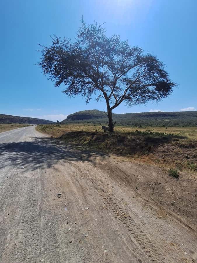 Nairobi: Lake Naivasha & Hell’s Gate National Park Day Trip - Lunch timing and how to keep your day comfortable