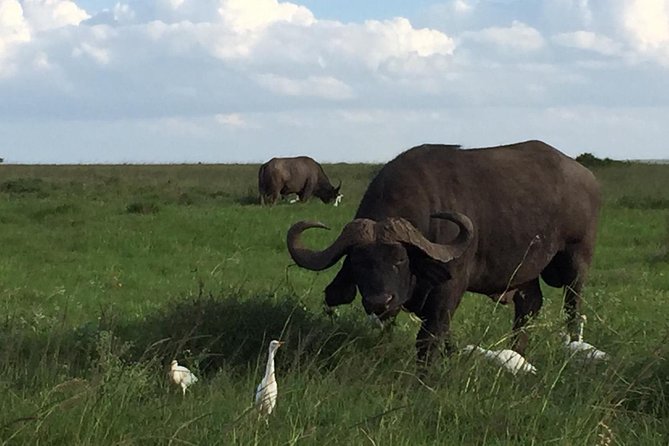 Nairobi layover - What the guide team does with your limited time
