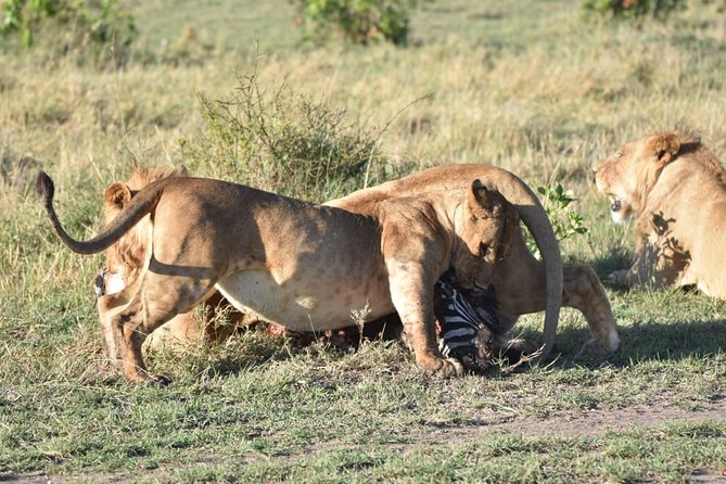 Nairobi layover - Value and price: what $180.62 buys you on a layover