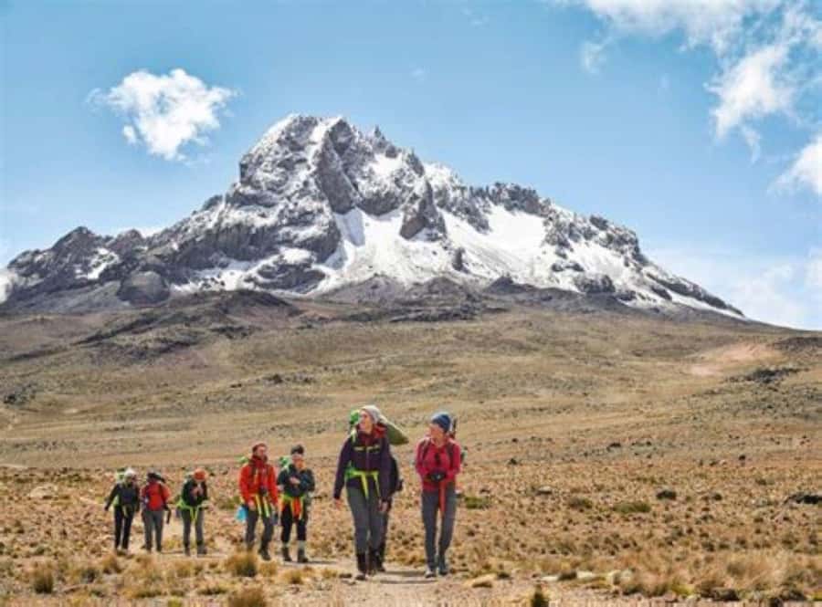 Nairobi: Mount Kenya Day Hike with Lunch - Naro Moru Day Hike to Old Moses Camp, the big peak payoff