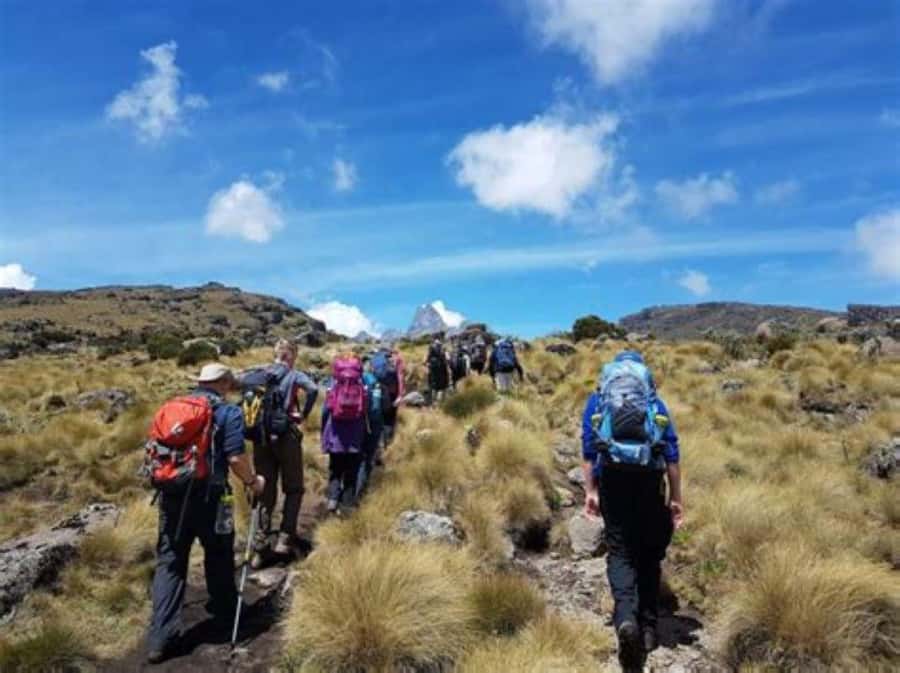 Nairobi: Mount Kenya Day Hike with Lunch - Narumoru Gate (2400m) to Met Station (3095m), where the hike really begins