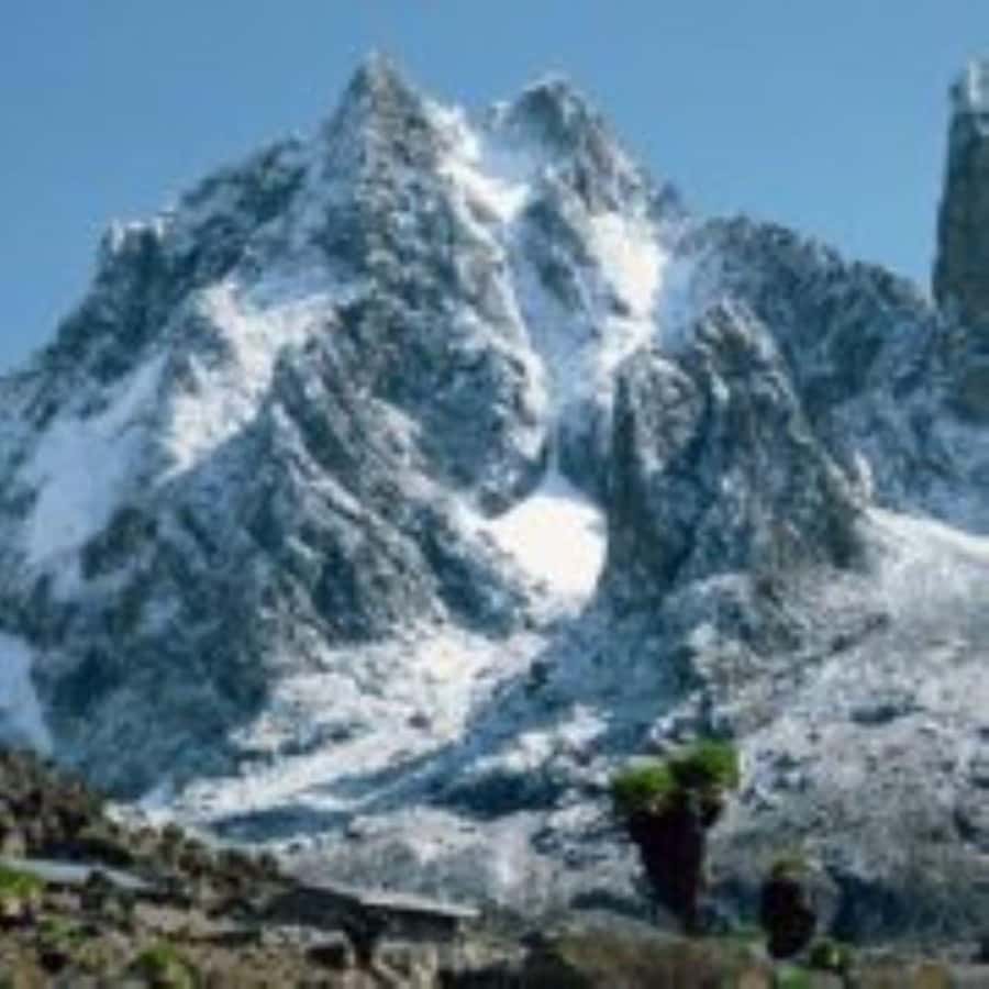 Nairobi: Mount Kenya Day Hike with Lunch - Forest, bamboo, rosewood, and heather zones, plus the wildlife rhythm