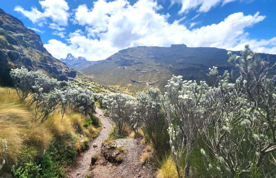 Nairobi: Mount Kenya Day Hike with Lunch - How steep is it at 3800m, and what that means for your pace