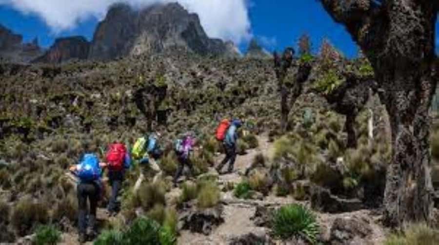 Nairobi: Mount Kenya Day Hike with Lunch - Price, inclusions, and whether $304 is good value