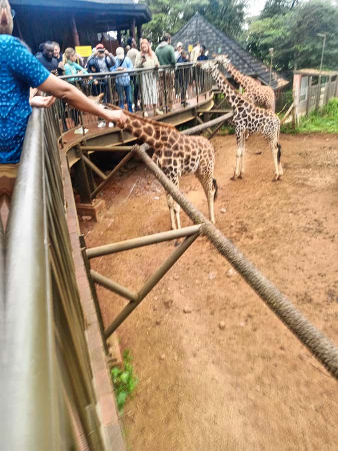 Nairobi: Museum, KICC, Giraffe Centre & Bomas of Kenya Tour - Your guide experience: why Faith gets mentioned a lot
