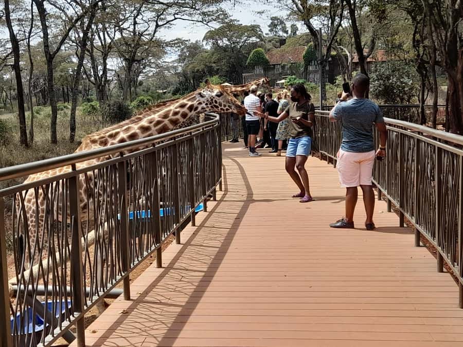 Nairobi:Nairobi national park,David sheldrick,GiraffeCenter - Should you book this Nairobi National Park, Sheldrick, and Giraffe Centre tour?