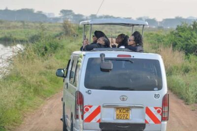 Nairobi National Park Half-Day Game Drive
