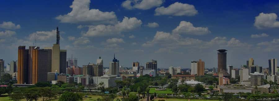 Nairobi National Museum & City Tour. - Nairobi National Museum: your guided 1.5 hours of context