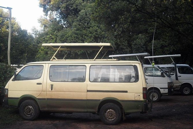 Nairobi National Park 1.p.m Game Drive - Getting picked up in Nairobi and heading straight for wildlife