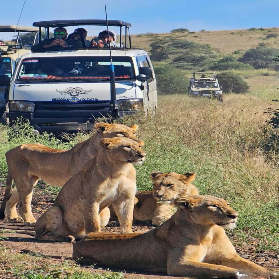Nairobi National Park 5-hour Guided Game Drive Free Pick up - What you get for the money, and what is not included