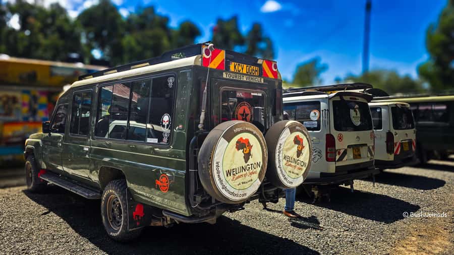 Nairobi National Park 5-hour Guided Game Drive Free Pick up - Guides and vehicle reality: where reviews line up with good advice