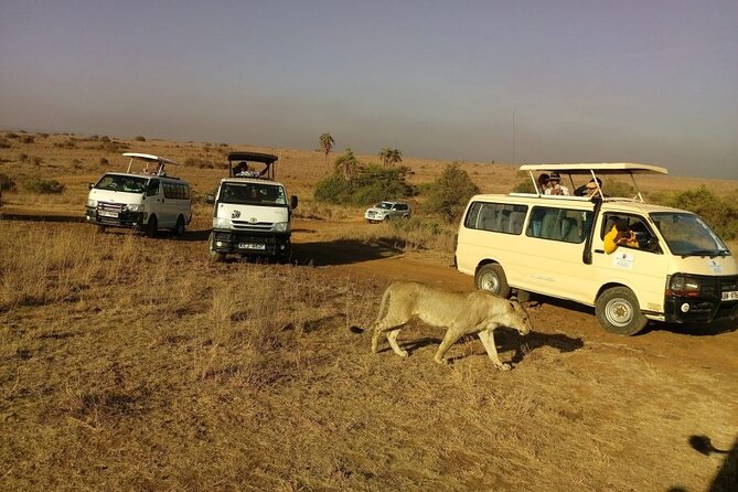 Nairobi National Park 6 am Group-Joining Game Drive - Nairobi National Park in one short window: what you can realistically expect