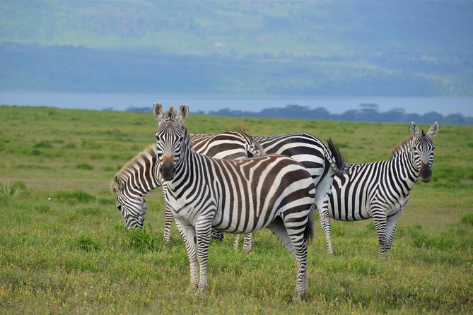 Nairobi National Park - FAQ