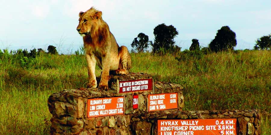 Nairobi National Park –Adventure at City’s Edge Free PickUp - Hotel Pickup and the Open-Roof Van Ride