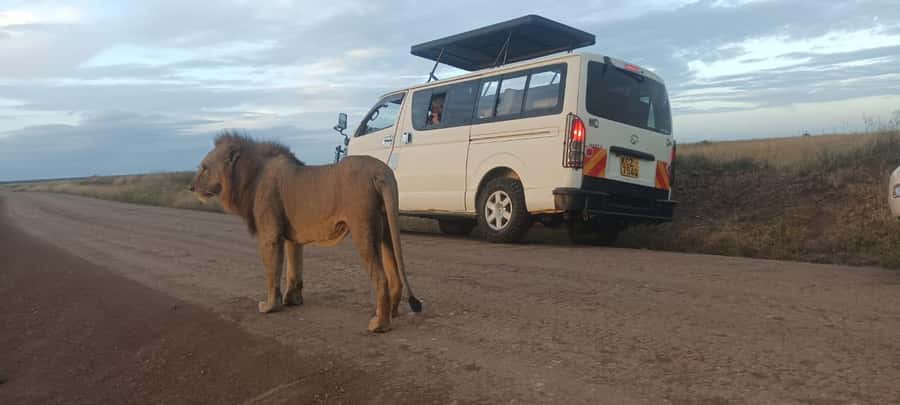 NAIROBI NATIONAL PARK AFTERNOON GAME DRIVE. - Key highlights worth planning for
