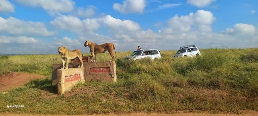 NAIROBI NATIONAL PARK AFTERNOON GAME DRIVE. - Price and value: is $35 for a Nairobi afternoon worth it?